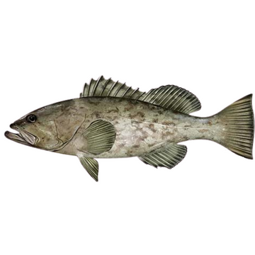 Premium Wild-Caught Grouper (Epinephelidae) – Mild, Tender White Meat – 300g to 6kg – Sustainable Seafood – Wildfischfang - Wildfischfang
