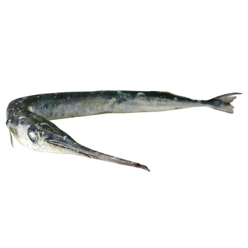 Premium Wild-Caught Hornhecht (Garfish, Belone Belone) – Tender White Meat & Mild Flavor – 500g to 1.5kg – Sustainable Seafood – Wildfischfang - Wildfischfang