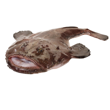 Premium Wild-Caught Monkfish (Lophius piscatorius) – Tender, White Meat & Mild Flavor – 500g to 5kg – Sustainable Seafood – Wildfischfang