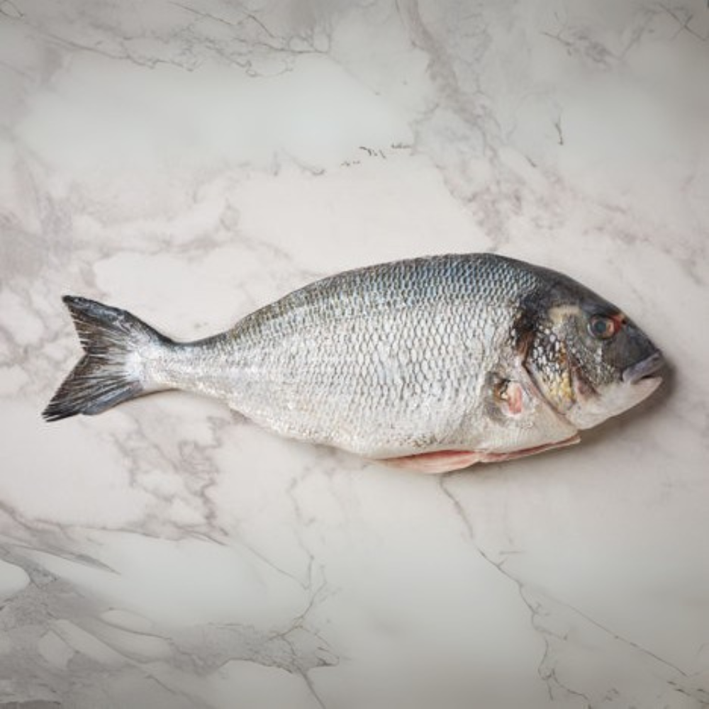 Premium Wild-Caught Meerbrasse (Sarago Bream / Sea Sparrow) – Tender White Meat & Mild Flavor – 500g to 2kg – Sustainable Seafood – Wildfischfang