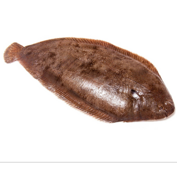 Premium Wild-Caught Sole (Solea solea) – Delicate, Mild Flavor & Tender White Meat – 300g to 1kg – Sustainable Seafood – Wildfischfang