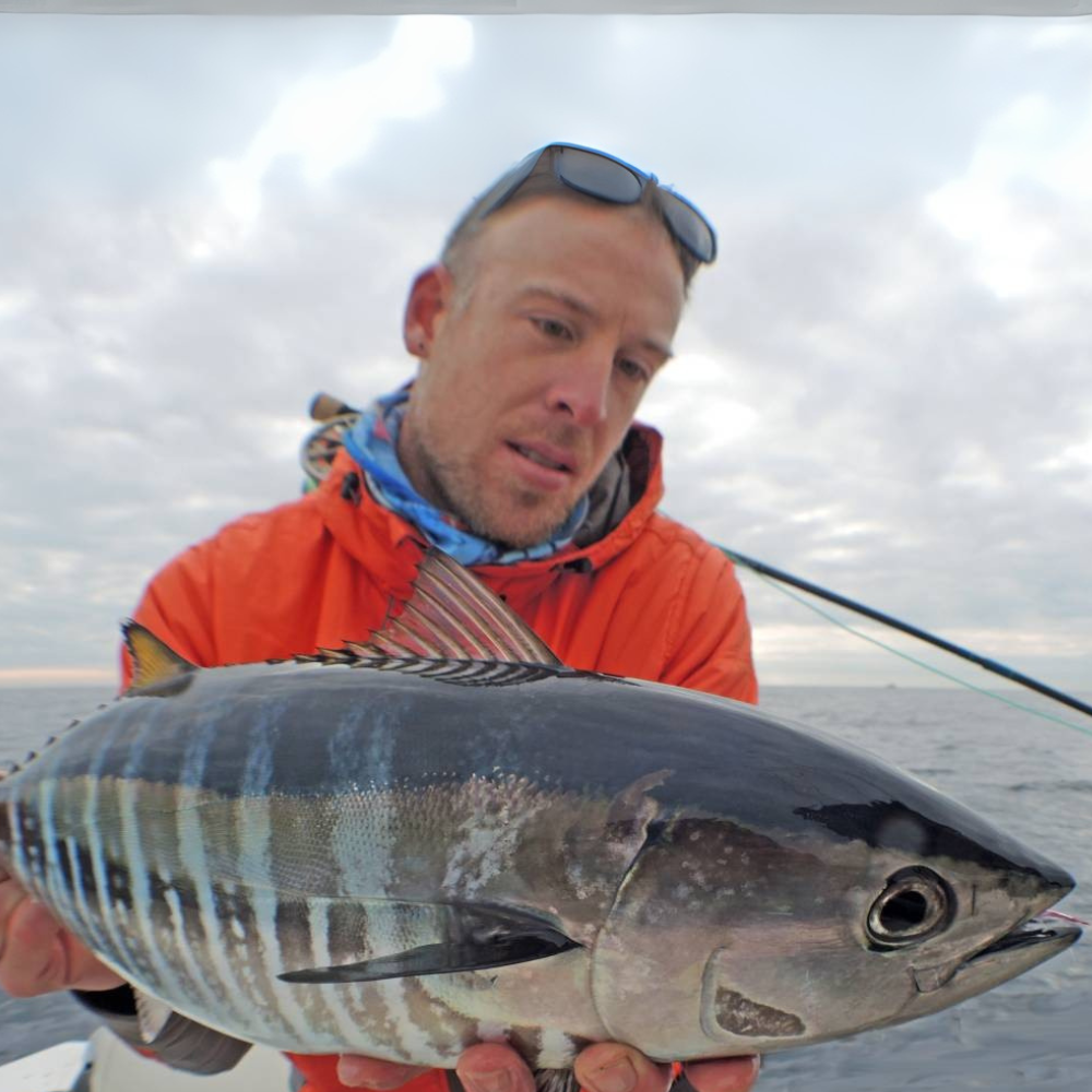 Premium Wild-Caught Sardinian Bonito (Sarda sarda) – Smoky, Tuna-like Flavor & Firm, Protein-Rich Meat – 1.5kg to 5kg – Sustainable Seafood – Wildfischfang - Wildfischfang