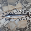 Premium Wild-Caught Mediterranean Marlin Pink (Tetrapturus belone) – Mild, Sweet Flavor & Firm, Pink Meat – 10kg to 40kg – Sustainable Seafood – Wildfischfang - Wildfischfang