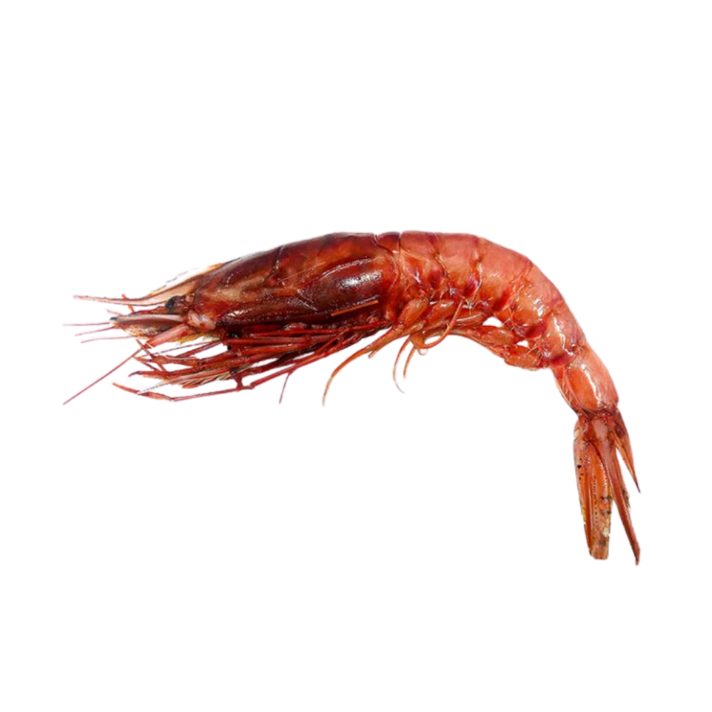 Premium Wild-Caught Deep Sea Shrimp (Aristaeomorpha foliacea) – Sweet, Umami Flavor & Tender Flesh – 30g to 80g – Sustainable Seafood – Wildfischfang - Wildfischfang
