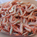 Premium Wild-Caught Rosa Shrimp (Parapenaeus longirostris) – Mild, Sweet Flavor & Tender Meat – 15g to 25g – Sustainable Seafood – Wildfischfang - Wildfischfang