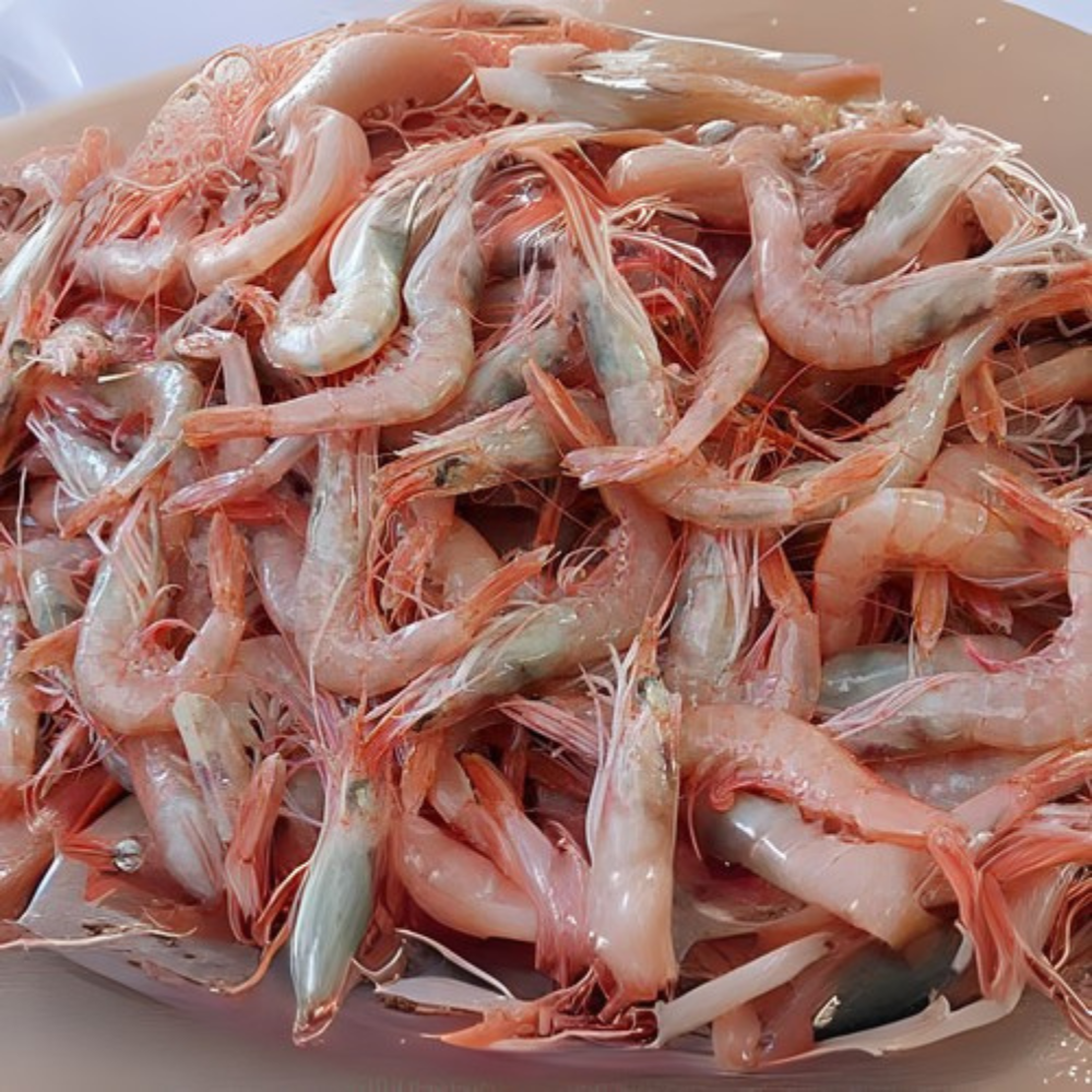 Premium Wild-Caught Rosa Shrimp (Parapenaeus longirostris) – Mild, Sweet Flavor & Tender Meat – 15g to 25g – Sustainable Seafood – Wildfischfang - Wildfischfang
