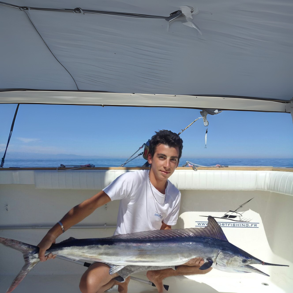 Premium Wild-Caught Mediterranean Marlin Pink (Tetrapturus belone) – Mild, Sweet Flavor & Firm, Pink Meat – 10kg to 40kg – Sustainable Seafood – Wildfischfang - Wildfischfang