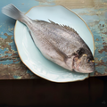 Premium Wild-Caught Meerbrasse (Sarago Bream / Sea Sparrow) – Tender White Meat & Mild Flavor – 500g to 2kg – Sustainable Seafood – Wildfischfang - Wildfischfang