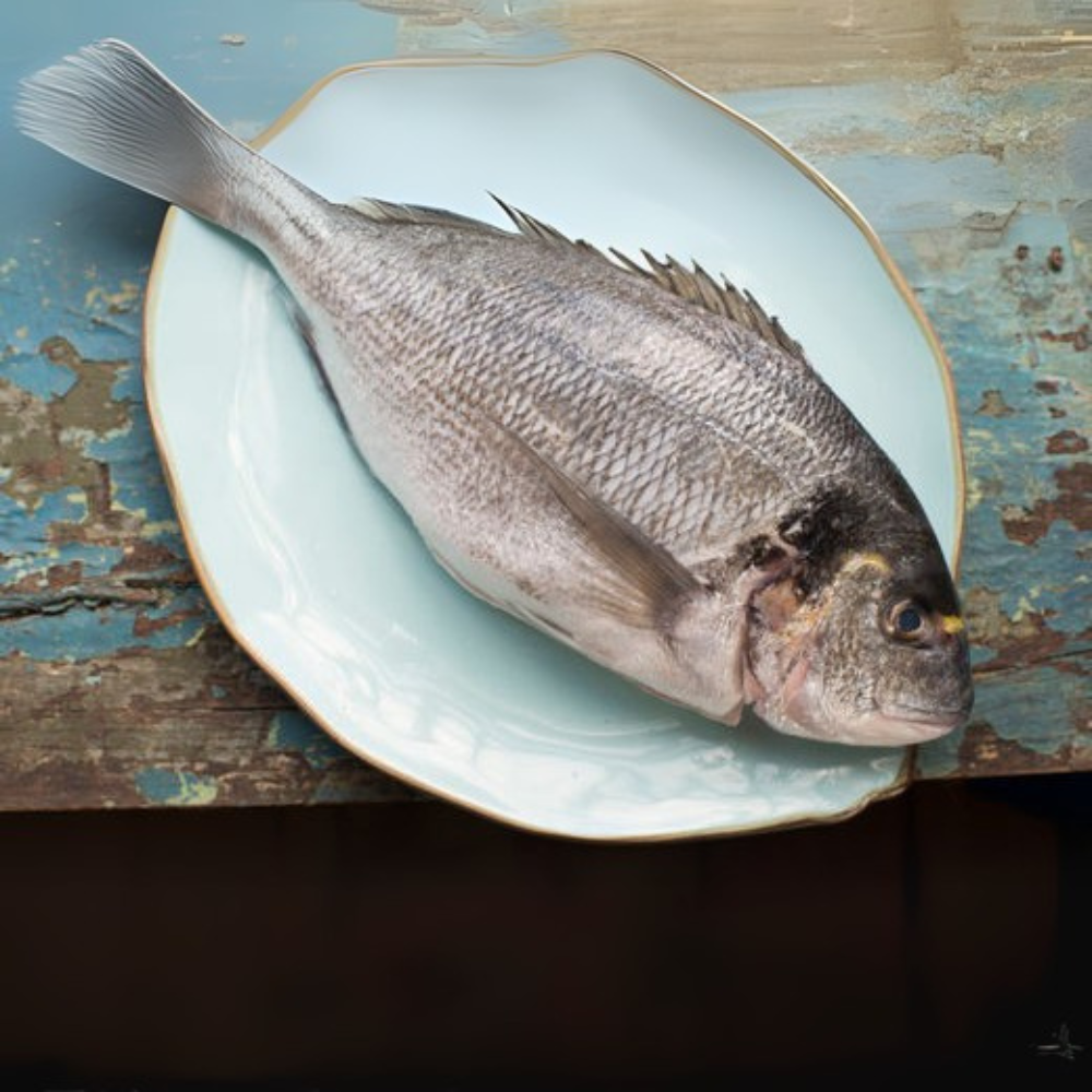 Premium Wild-Caught Meerbrasse (Sarago Bream / Sea Sparrow) – Tender White Meat & Mild Flavor – 500g to 2kg – Sustainable Seafood – Wildfischfang - Wildfischfang
