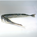 Premium Wild-Caught Hornhecht (Garfish, Belone Belone) – Tender White Meat & Mild Flavor – 500g to 1.5kg – Sustainable Seafood – Wildfischfang - Wildfischfang