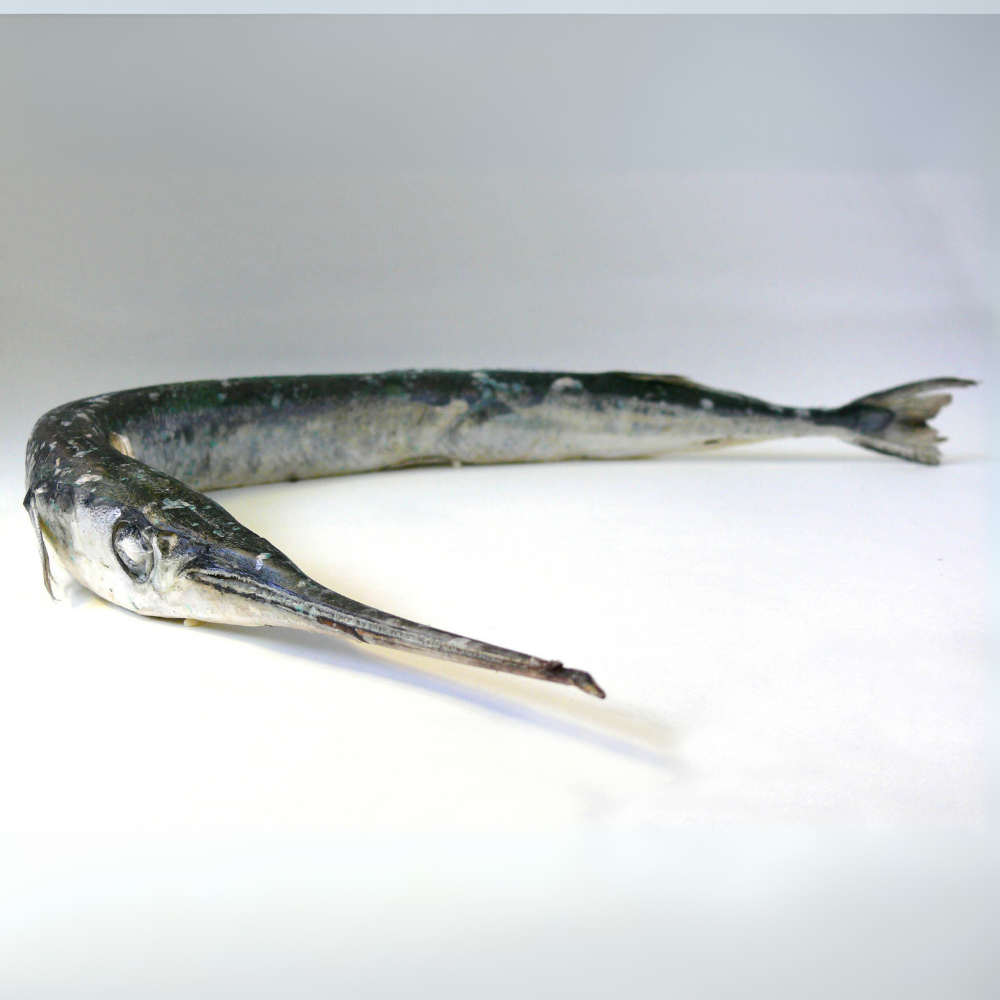 Premium Wild-Caught Hornhecht (Garfish, Belone Belone) – Tender White Meat & Mild Flavor – 500g to 1.5kg – Sustainable Seafood – Wildfischfang - Wildfischfang