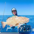 Premium Wild-Caught Grouper (Epinephelidae) – Mild, Tender White Meat – 300g to 6kg – Sustainable Seafood – Wildfischfang - Wildfischfang