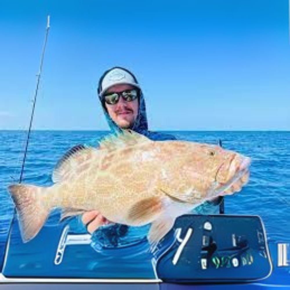 Premium Wild-Caught Grouper (Epinephelidae) – Mild, Tender White Meat – 300g to 6kg – Sustainable Seafood – Wildfischfang - Wildfischfang