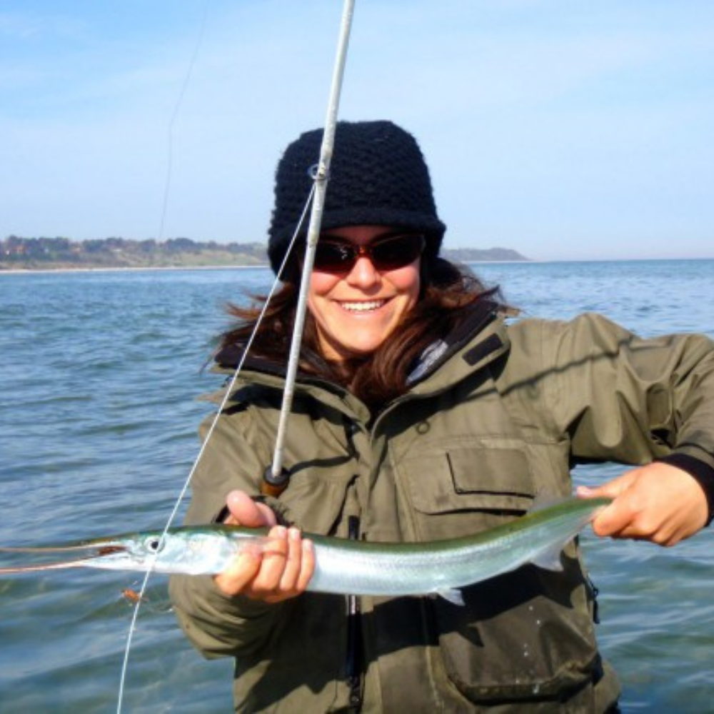 Premium Wild-Caught Hornhecht (Garfish, Belone Belone) – Tender White Meat & Mild Flavor – 500g to 1.5kg – Sustainable Seafood – Wildfischfang - Wildfischfang