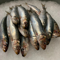 Premium Wild-Caught Sardelle (Anchovies, Engraulis encrasicolus) – Strong, Salty Flavor & Intense Umami – 10g to 50g – Sustainable Seafood – Wildfischfang - Wildfischfang
