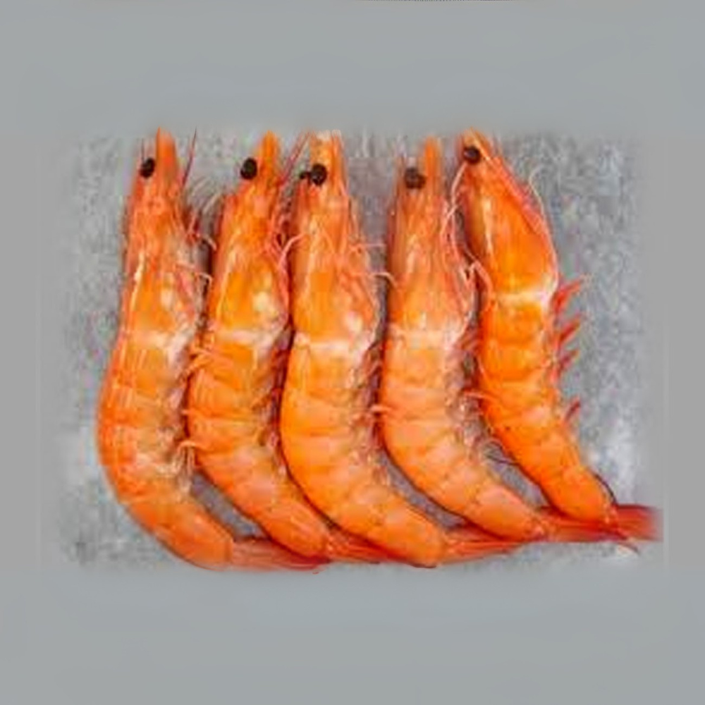 Premium Wild-Caught Deep Sea Shrimp (Aristaeomorpha foliacea) – Sweet, Umami Flavor & Tender Flesh – 30g to 80g – Sustainable Seafood – Wildfischfang - Wildfischfang